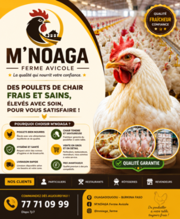 M’NOAGA Ferme Avicole — photo 1 sur 1