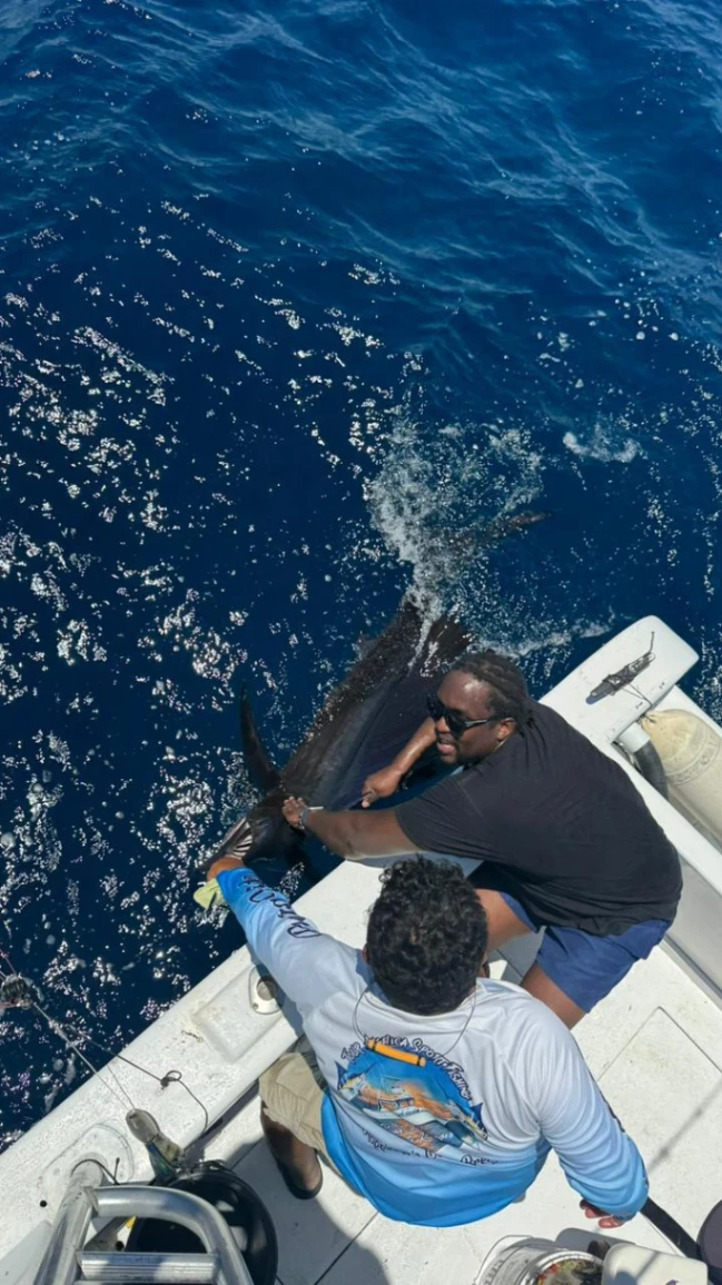 Formations comment pechez un gros poisson ? — photo 1 sur 1